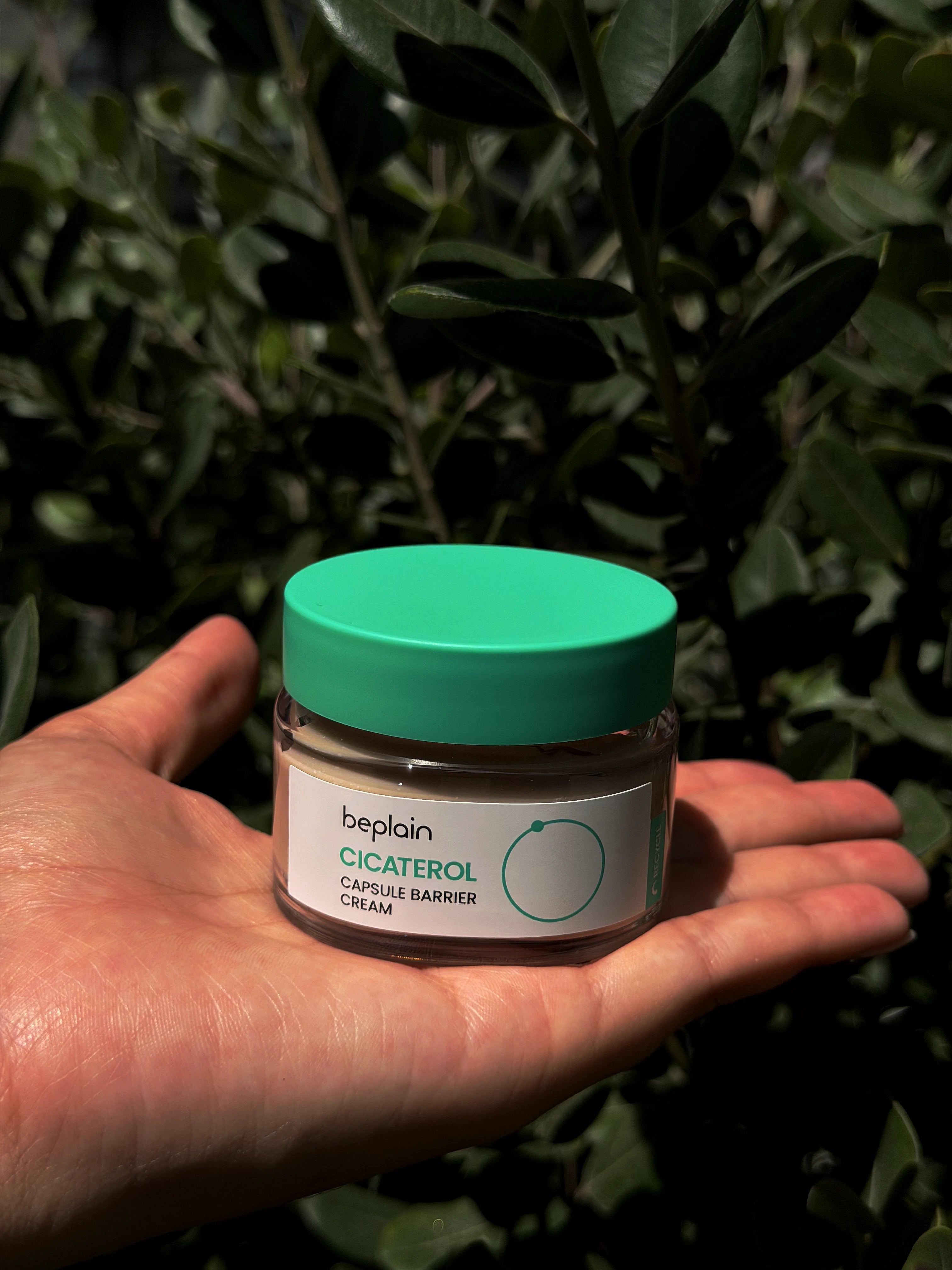 Beplain | Cicaterol Capsule Barrier Cream