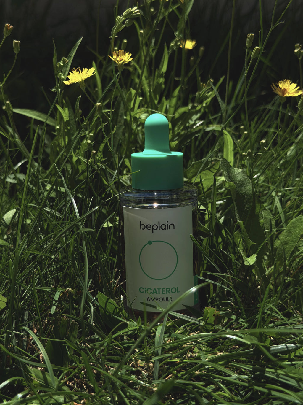 Beplain | Cicaterol Ampoule