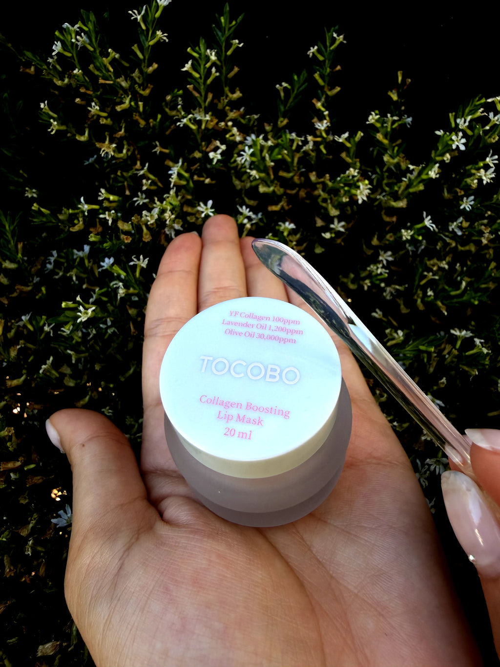 TOCOBO | Collagen Boosting Lip Mask